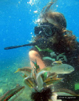 Scuba Diving in Rhodes